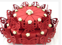 La aplicaci&oacute;n de CO2 la maquina laser en la vida